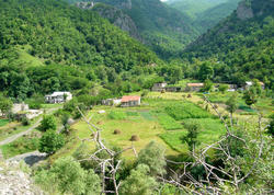 Kəlbəcərdə dağ keçilərinin vurulması ilə bağlı videoya <span class="color_red">rəsmi reaksiya</span>